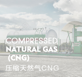 天然气处理界面-CNG_06